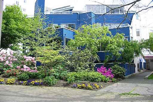 Cardero Court