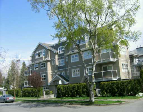 3008 Willow