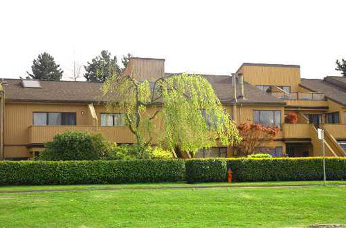 Marine Mews