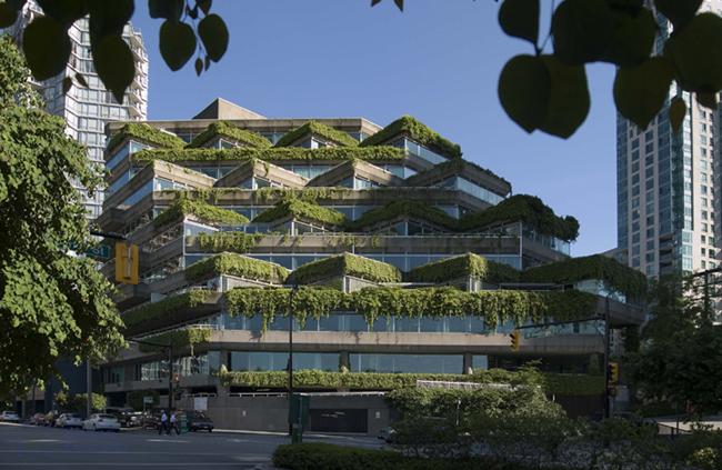 Evergreen Building