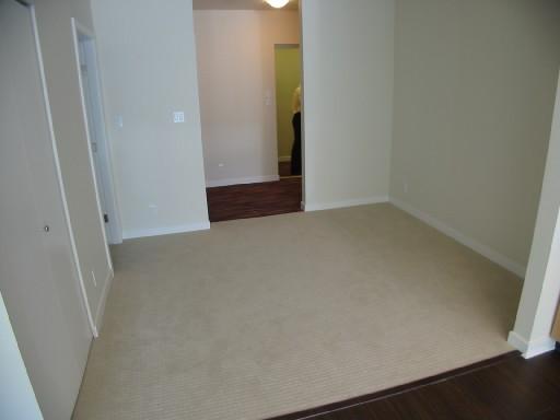 827 CAMBIE ST photo 10