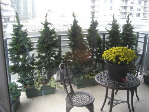 827 CAMBIE ST photo 17