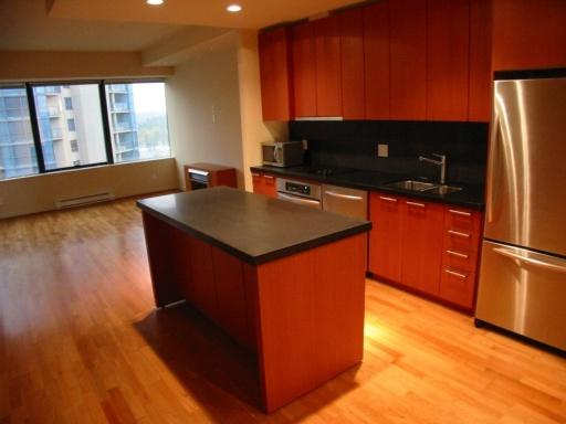 # 1415 1333 W GEORGIA ST photo 10