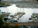 # 704 1000 BEACH AV
