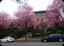 # 303 930 E 7TH Ave