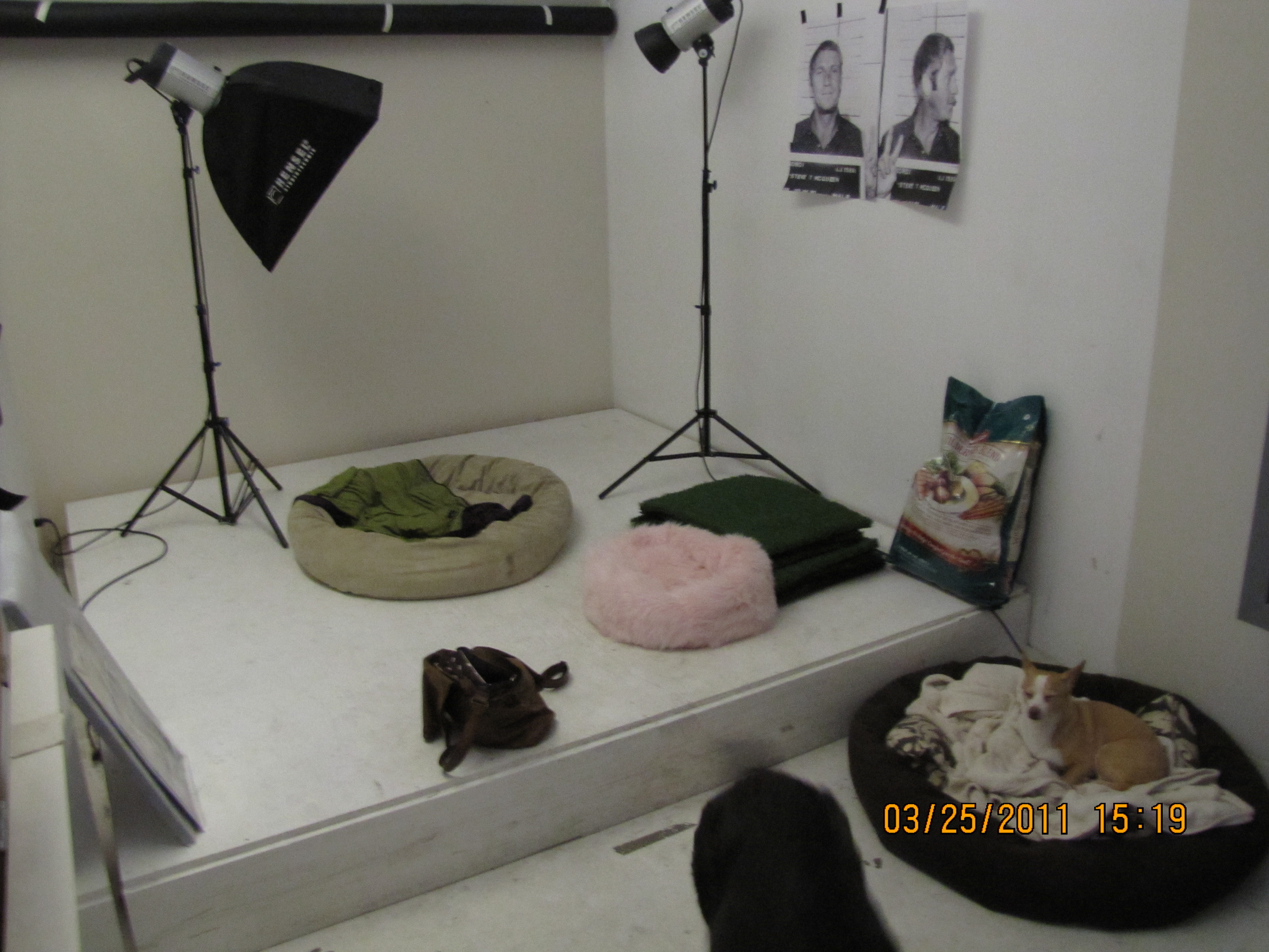  1146 Pacific Blvd photo 15
