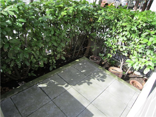  521 DRAKE Street photo 9