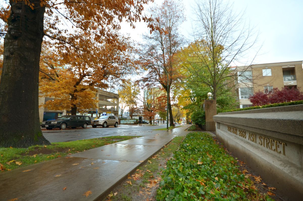 # TH5 2668 ASH ST photo 5