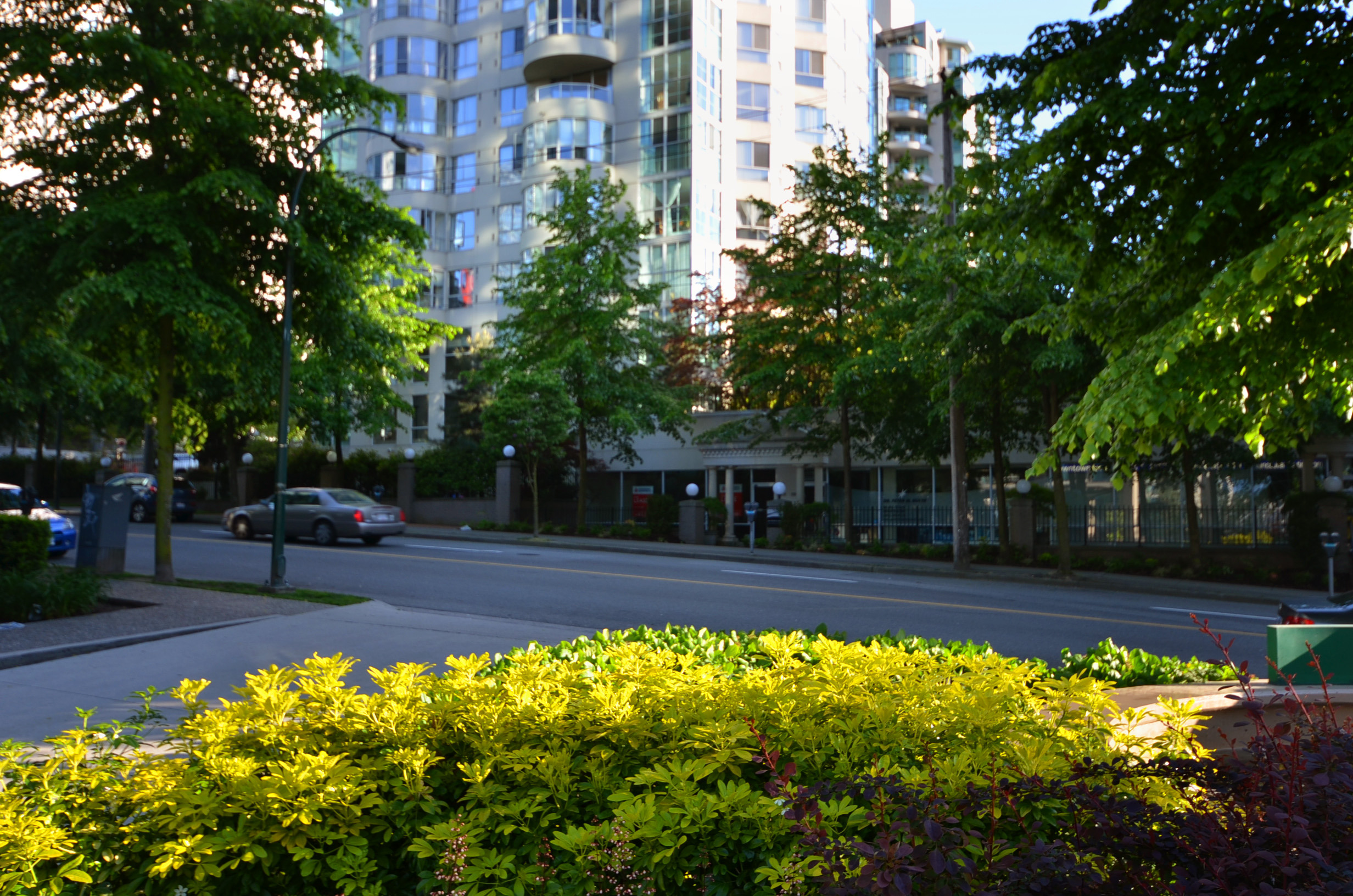 # 707 1331 ALBERNI ST photo 6