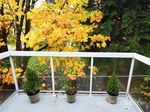 # 2 72 JAMIESON CT photo 9
