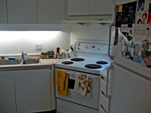 # 1103 1238 MELVILLE photo 3
