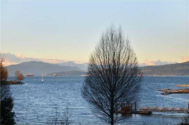 # 201 1010 BEACH AV photo 6