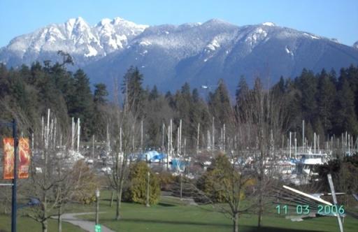 # 301 1863 ALBERNI photo 4