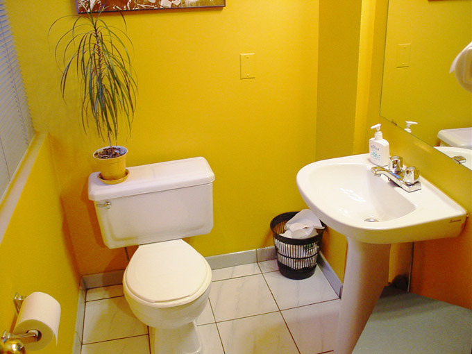  776 THURLOW Street photo 8