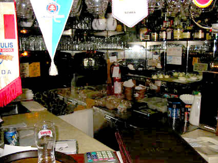  735 DENMAN Street photo 13