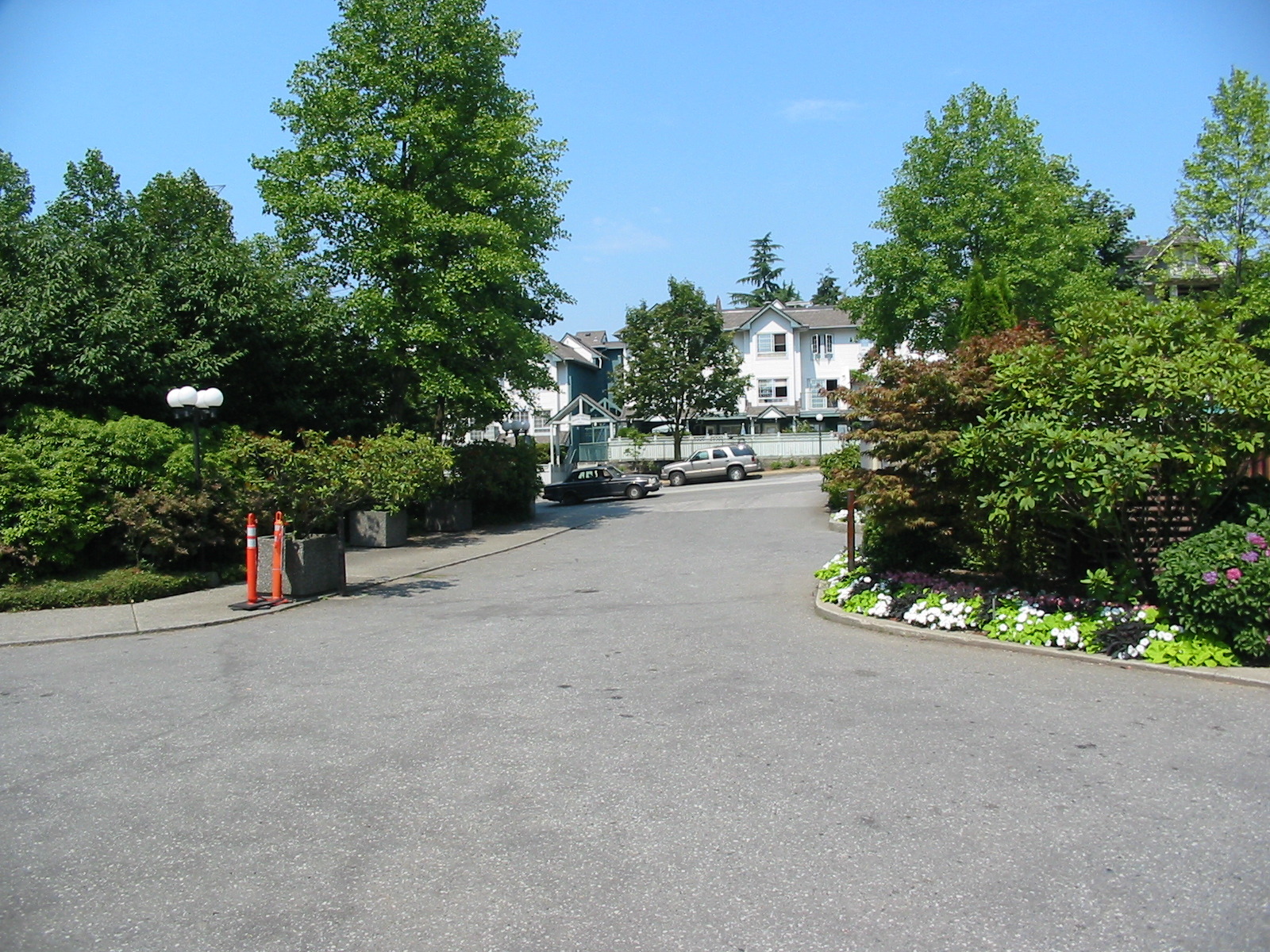 # 1403 3760 ALBERT ST photo 5