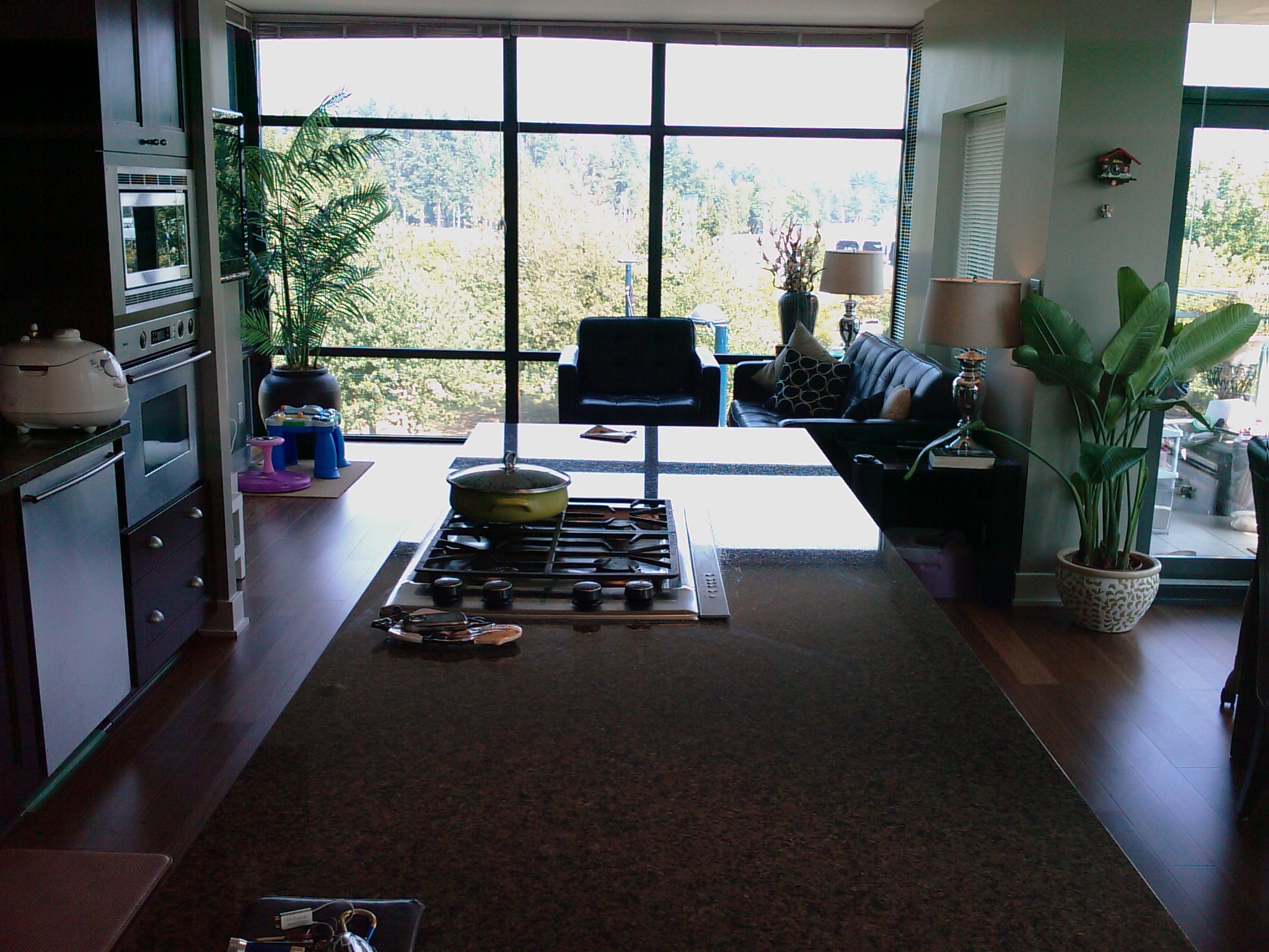 # 401 1863 ALBERNI ST photo 18