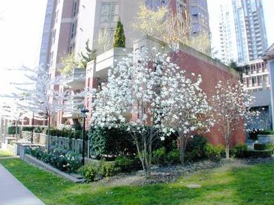 # 1805 867 HAMILTON ST photo 10