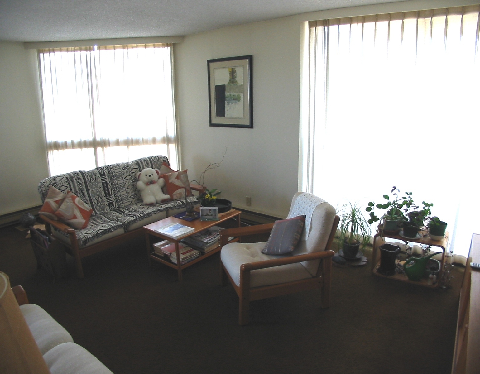 # 1208 3760 ALBERT ST photo 3