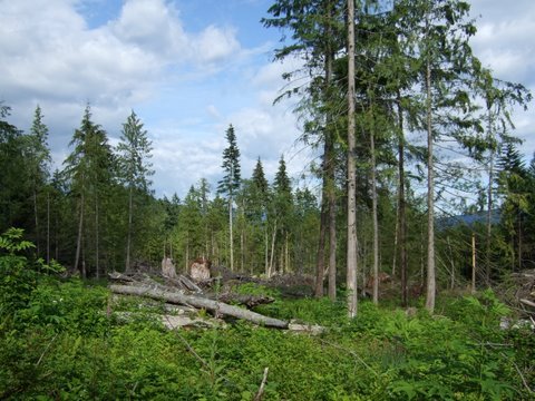  Chamberlin  Road photo 2