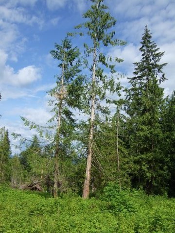  Chamberlin  Road photo 3