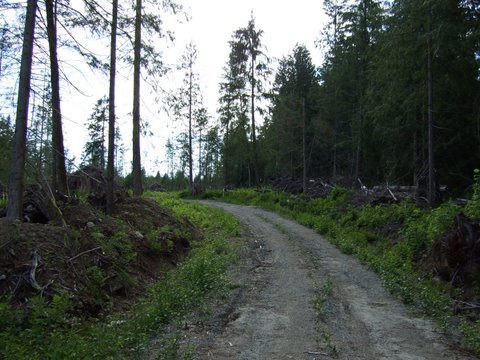  Chamberlin  Road photo 6