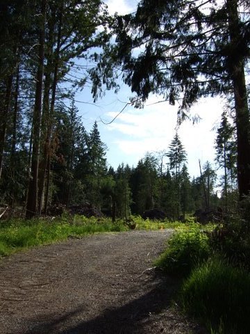  Chamberlin  Road photo 9