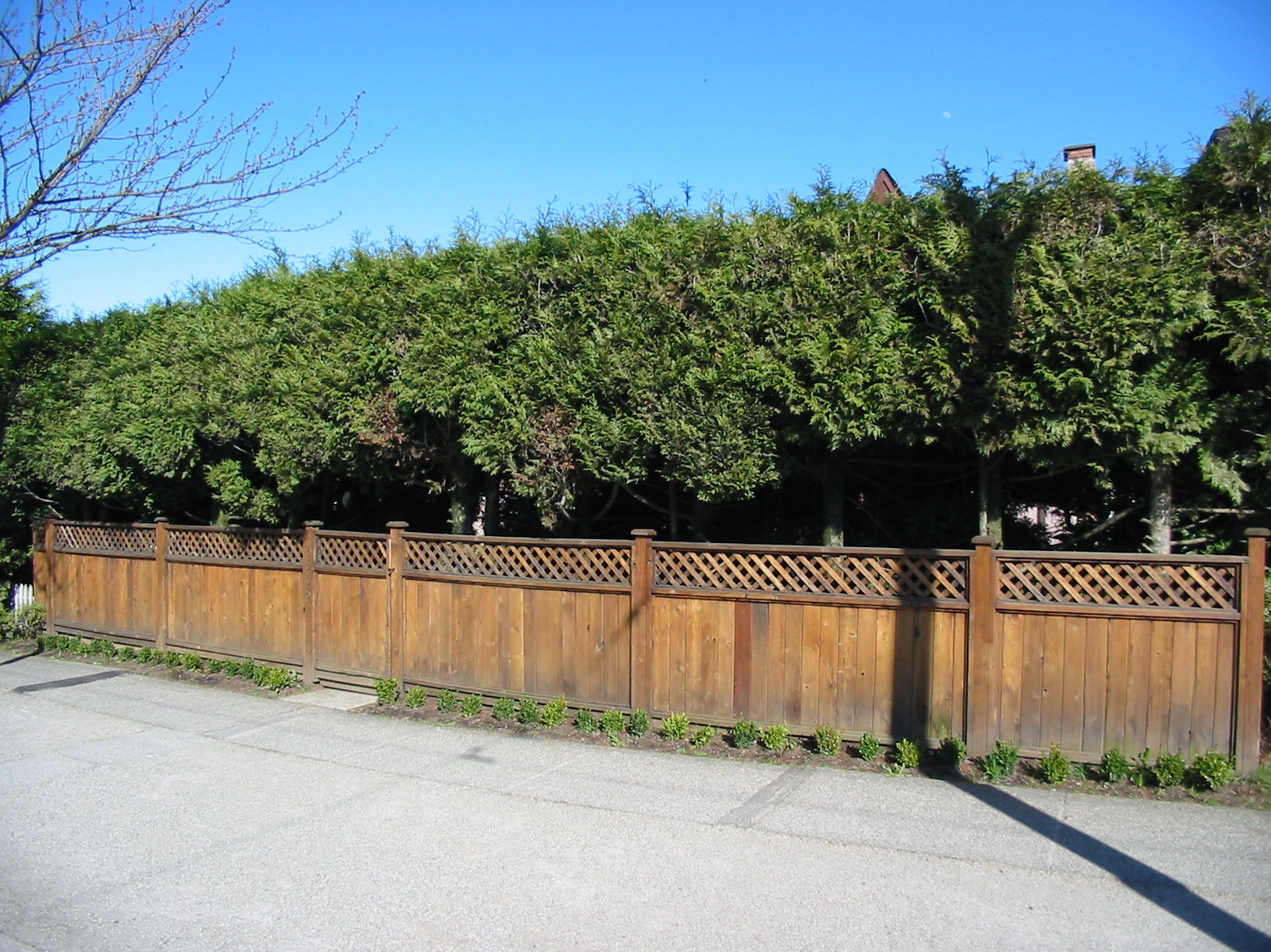  3568 Dunbar Street photo 4