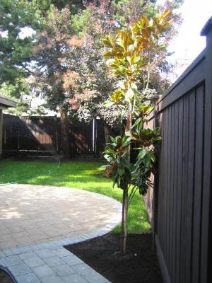 3183 ADANAC ST photo 10